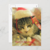 クリスマス (正面/裏面)