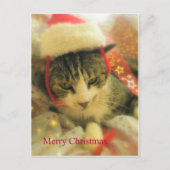 クリスマス (正面)