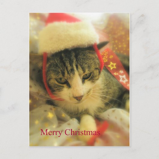 クリスマス (正面)