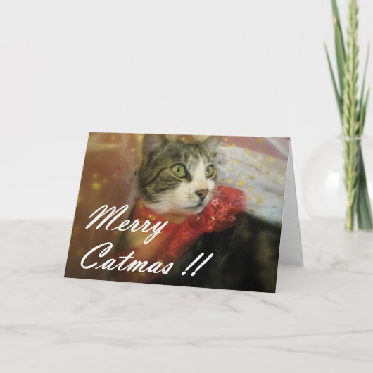 クリスマス (正面)