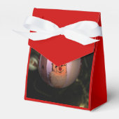 クリスマス023 フェイバーボックス (正面サイド)