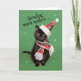 クリスマス かわいい猫 帽子とマフラー