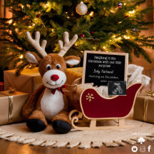 クリスマス・そり妊娠のお知らせ