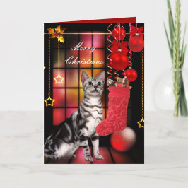クリスマス ねこ カード