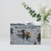 「クリスマス・アヒル」 シーズンポストカード (スタンド正面)