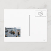 「クリスマス・アヒル」 シーズンポストカード (裏面)