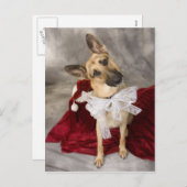 クリスマス・アルザス人 シーズンポストカード (正面/裏面)