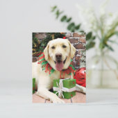 クリスマス – イエローラブラドール – ストライダー (スタンド正面)