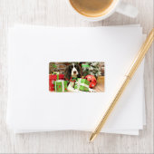 クリスマス – イングリッシュスリンガースパニエル犬- Kinzie ラベル (インサイチュ)