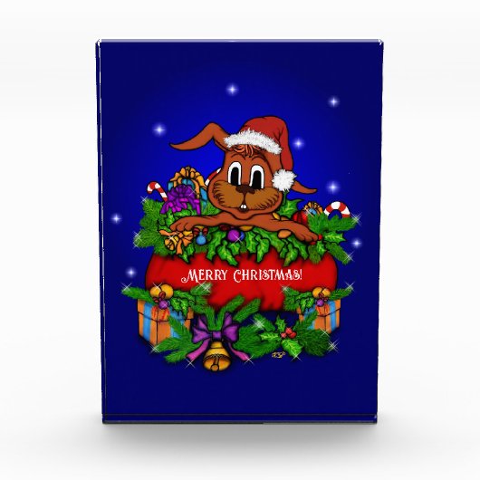 クリスマス・ウサギ フォトブロック (正面)