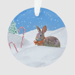 クリスマス、ウサギ、雪、キャンディ・ケーン オーナメント