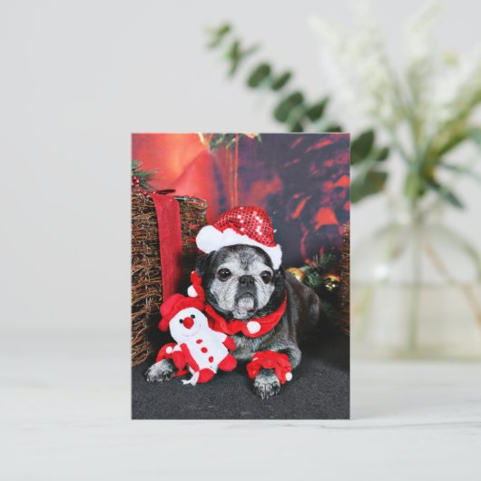 クリスマス – エンジェル – パグ (スタンド正面)