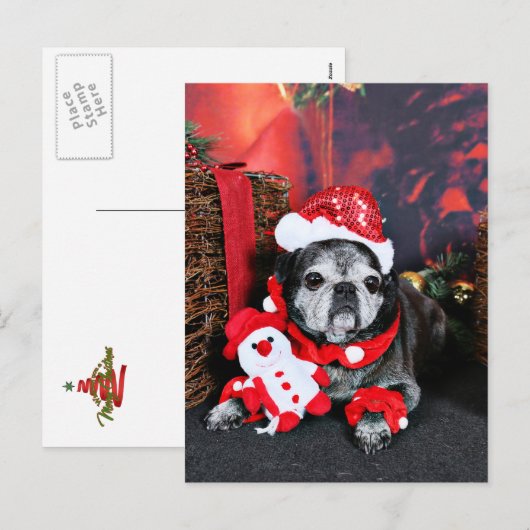 クリスマス – エンジェル – パグ (正面/裏面)