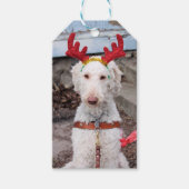 クリスマス・オリー ギフトタグ (正面)