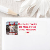 クリスマス・オリー ラベル (インサイチュ)