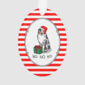 クリスマス・オーストラリア・シェパード(青メルルタン/w 1) オーナメント (裏面)