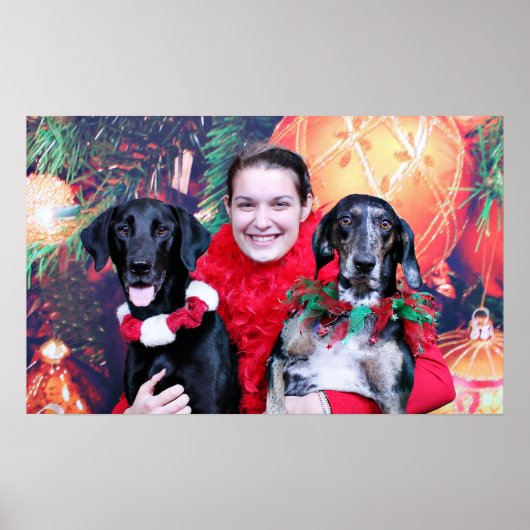 クリスマス – カタホラブリタとラブラドールクーパー ポスター (正面)