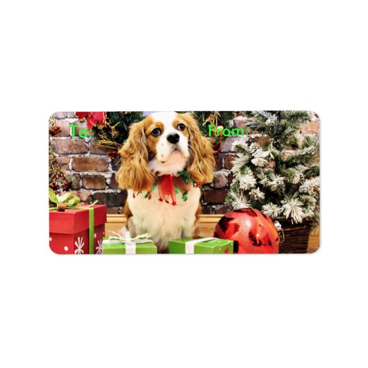 クリスマス – カバリエールキングチャールズスパニエル犬マーベリック ラベル (正面)