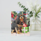 クリスマス – カバリエ – チャーリー (スタンド正面)