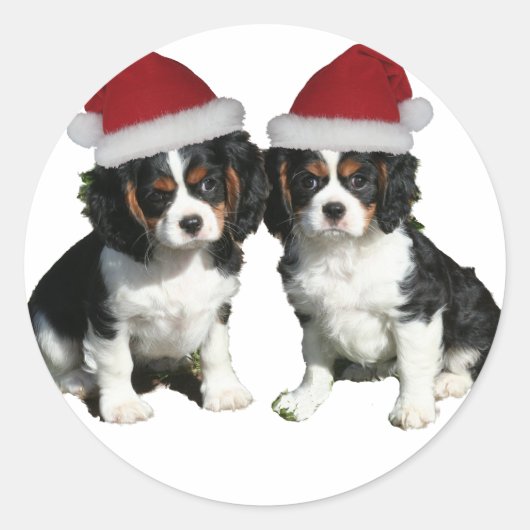 クリスマス・カバリエ ラウンドシール (正面)