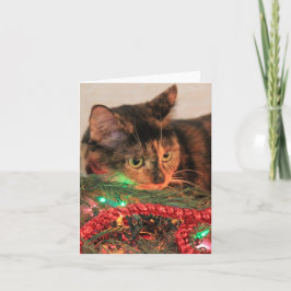 クリスマス・カリコ、猫はライトが好空白のき！ シーズンカード