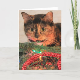 クリスマス・カリコ、猫はライトが好空白のき! シーズンカード