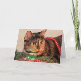 クリスマス・カリコ、猫はライトが好空白のき! シーズンカード