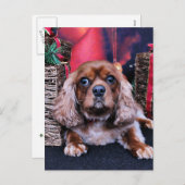 クリスマス – カヴァリエ – クーパー (正面/裏面)