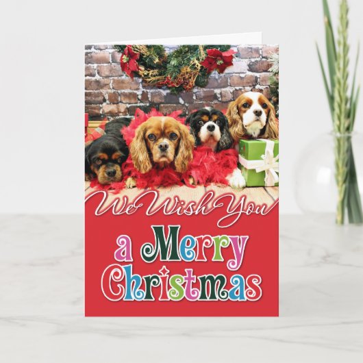 クリスマス – カヴァリエ – スイートピー、リリー、バラポピー (正面)