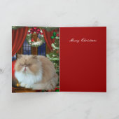 クリスマス カード ねこ 帽子 (内部)