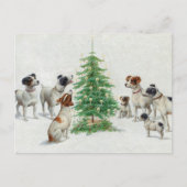 クリスマス | カール・ライチェルト ポストカード (正面)