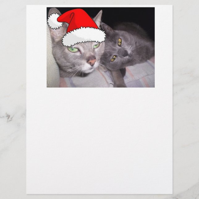 クリスマス・キャッツ (正面)