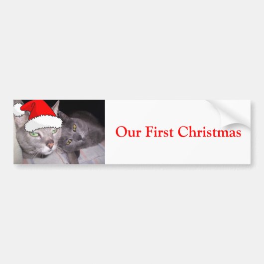 クリスマス・キャッツ バンパーステッカー (正面)
