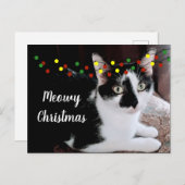 クリスマス・キャット・ホリデー ポストカード (正面/裏面)