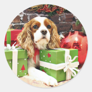 クリスマス – キャリバリーキングチャールズスパニエル犬 – ポピー ラウンドシール