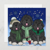 クリスマス・キャロル歌うニューファンドランドの子犬 シーズンカード (正面/裏面)