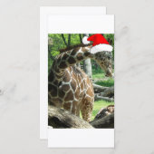 クリスマス・キリン シーズンカード (正面/裏面)