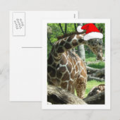 クリスマス・キリン シーズンポストカード (正面/裏面)