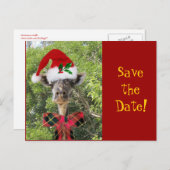 クリスマス・キリン 案内ポストカード (正面/裏面)