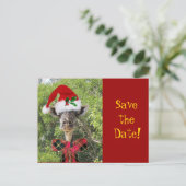 クリスマス・キリン 案内ポストカード (スタンド正面)