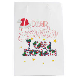 クリスマス ギフトバッグ