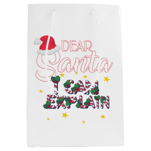 クリスマス ギフトバッグ (正面)