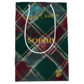 クリスマス ギフト バッグ 緑のチェック柄 タートル デザイン ミディアムペーパーバッグ (正面)