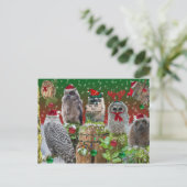 クリスマス・クリッターのフクロウとアライグマ シーズンポストカード (スタンド正面)