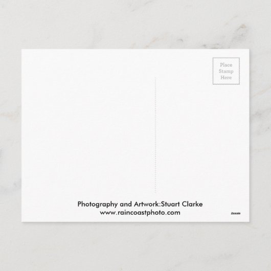 クリスマス・クリッターのフクロウとアライグマ シーズンポストカード (裏面)