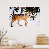 クリスマス・グリーティング・リーダー ポスター (キッチン)