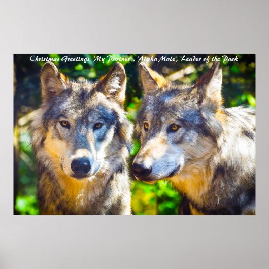 クリスマス・グリーティング・リーダー ポスター (正面)