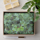 クリスマス グリーン ホーリー ベリー 薄葉紙 (ギフト)