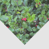 クリスマス グリーン ホーリー ベリー 薄葉紙 (詳細)