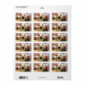 クリスマス – グレイハウンド – ペナ ラベル (フルシート)